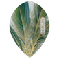 Loxley - Flights - Green Gold Feather - 10 sets