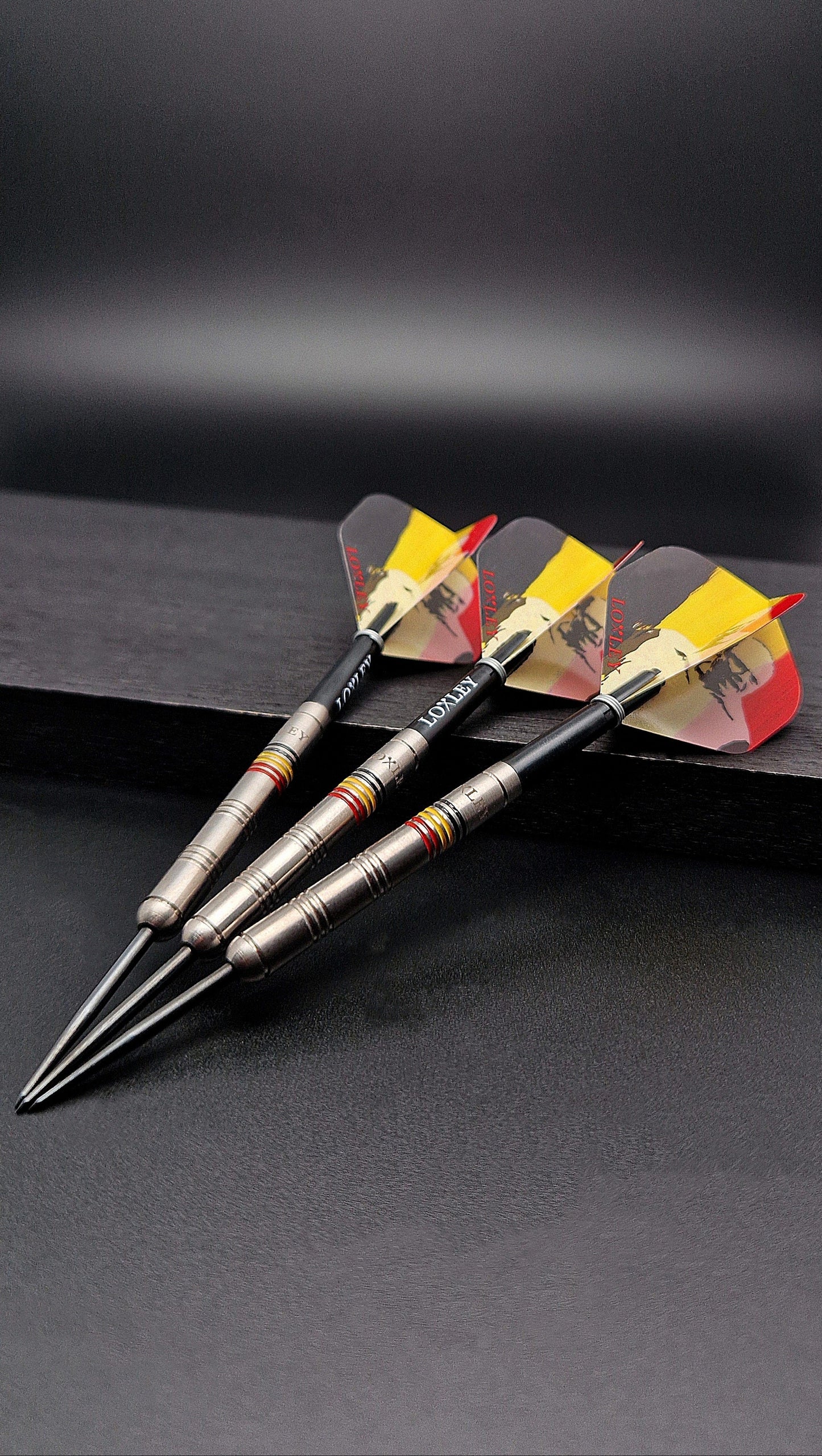 Loxley - Ronny Huybrechts Darts